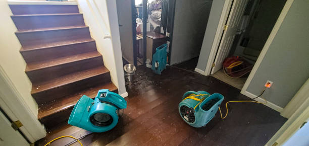 Best Basement water damage restoration  in Newberry, MI