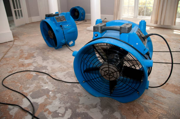 24/7 water damage repair in MI