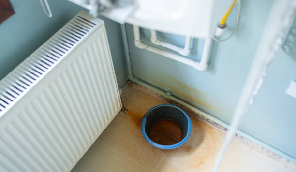Best Water damage contractors near me  in Newberry, MI