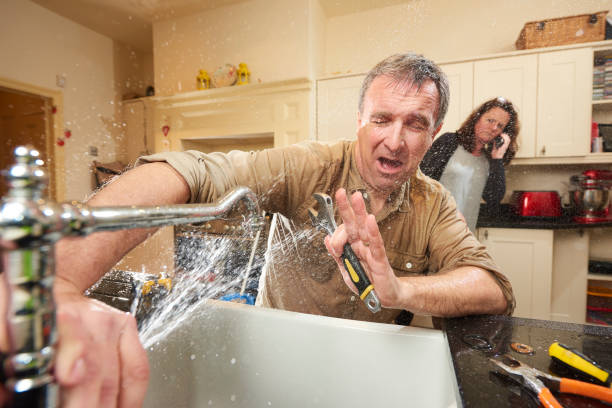 Best Flood restoration services  in Newberry, MI